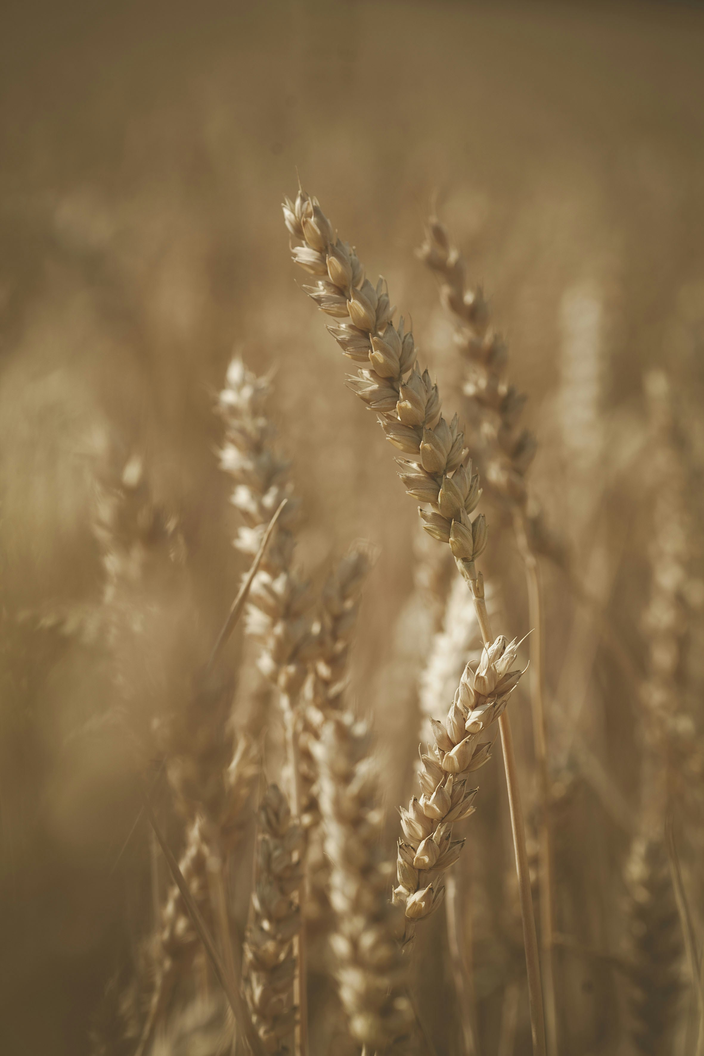 Photo by quadratmedia