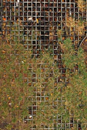 Close-up of a grounding rod installed in a residential yard with green grass.