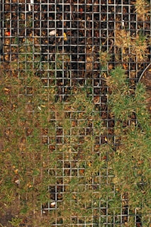 Close-up of methane bio-cover installation reducing emissions on a landfill site.