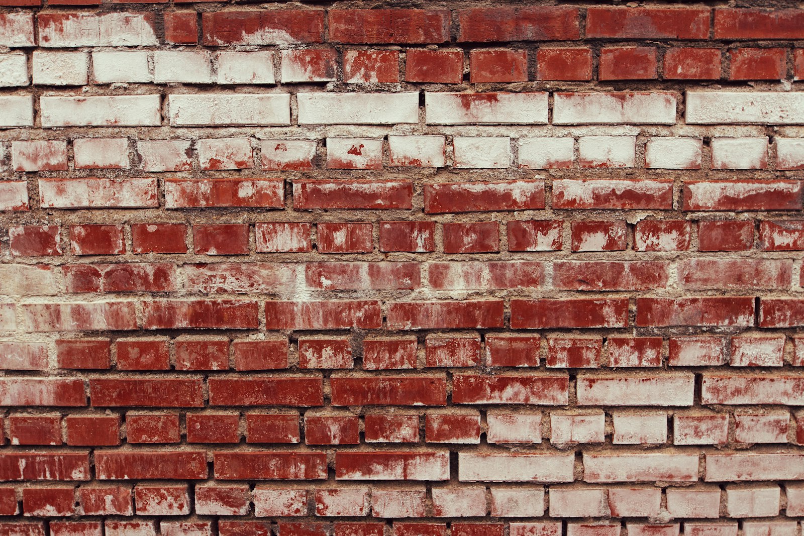 Sigma 20mm F1.4 DG HSM Art sample photo. Brown bricked wall photography