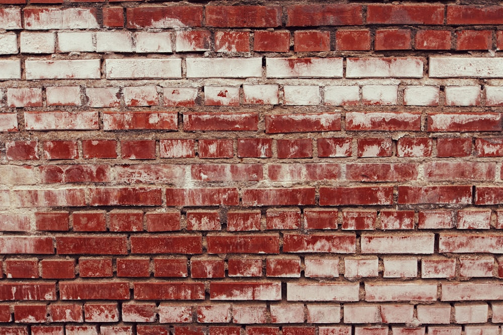 brown bricked wall