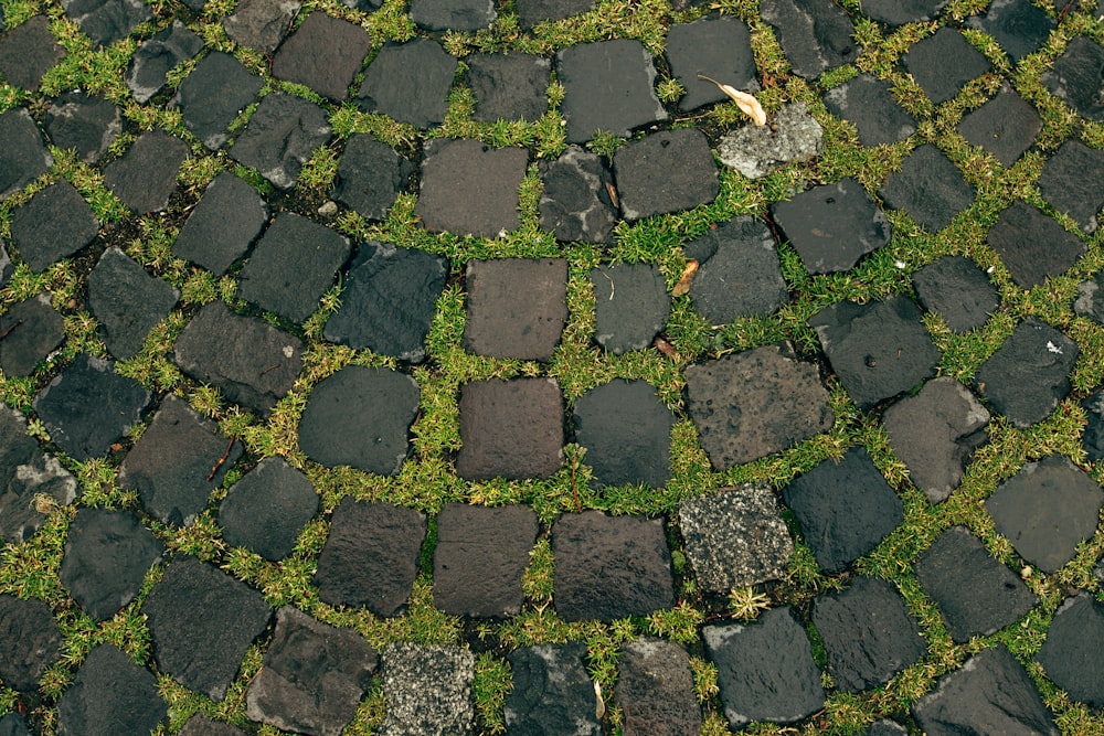 close-up photography of tile arrangement floor