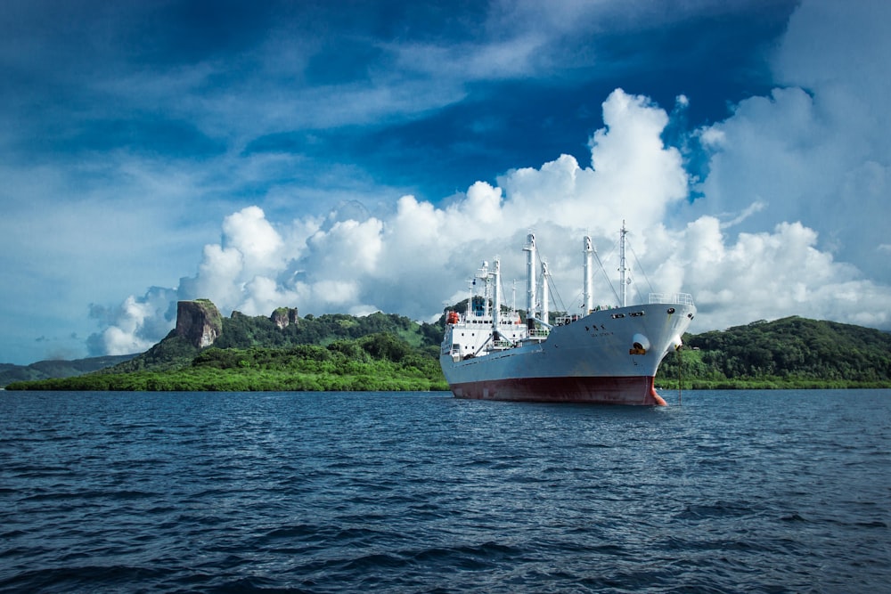 white and red cruise ship photography