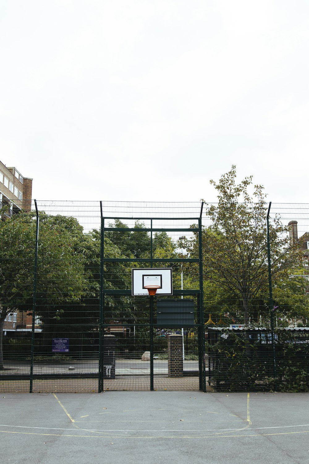 basketball court