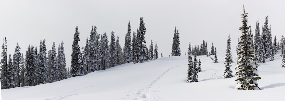 snowy mountain side