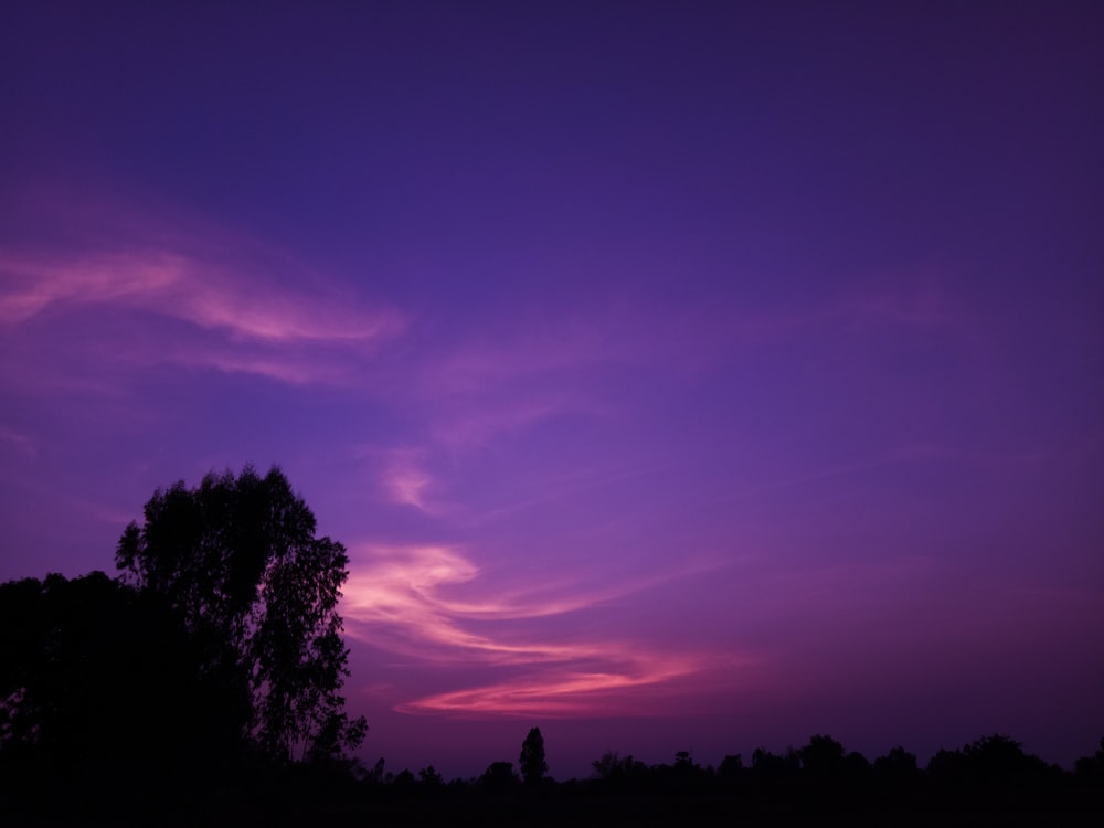 silhouette of person during nighttime photo