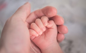 person holding baby's hand in close up photography