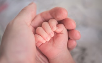 person holding baby's hand in close up photography