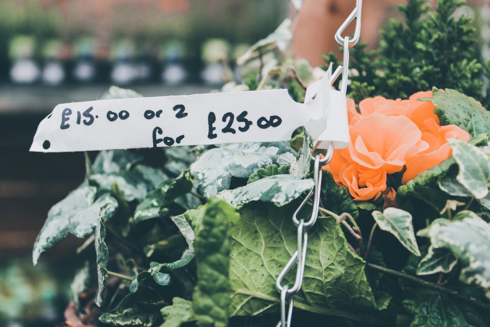 The best asking price for your home