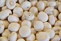 bunch of white mushrooms