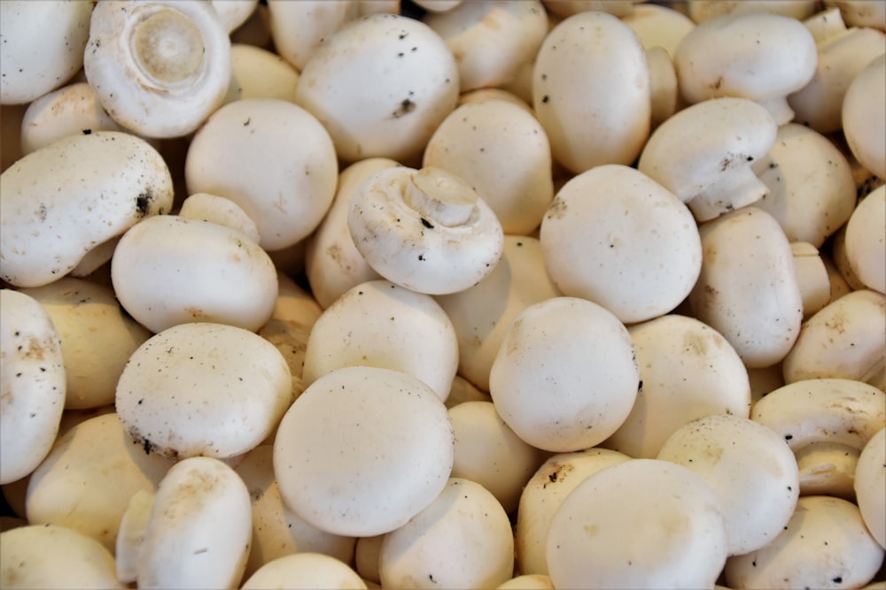 bunch of white mushrooms