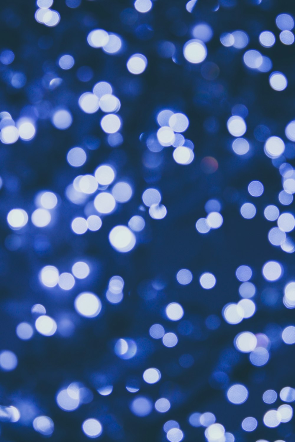 bokeh photography of lights