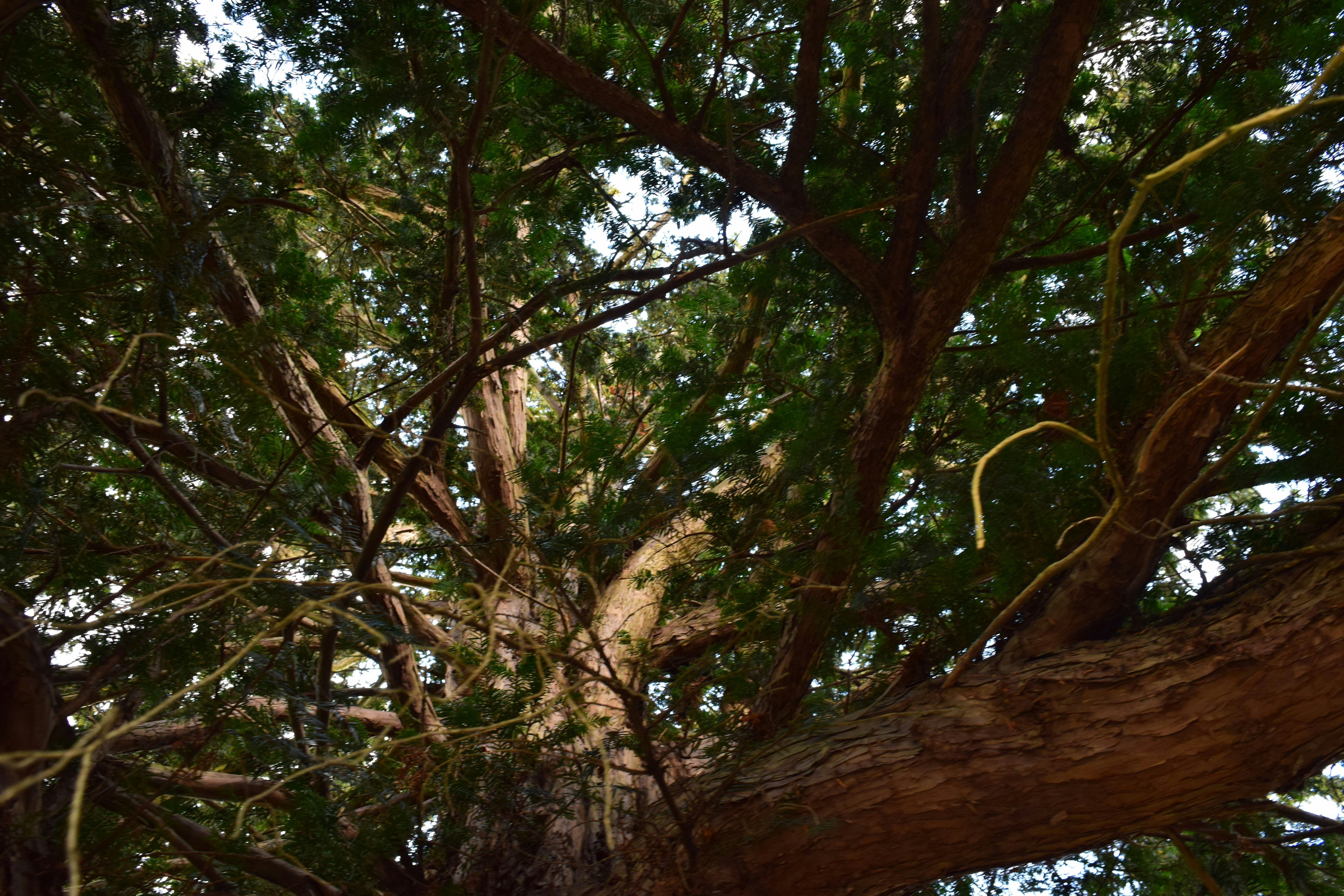 Photo by jdsherrington