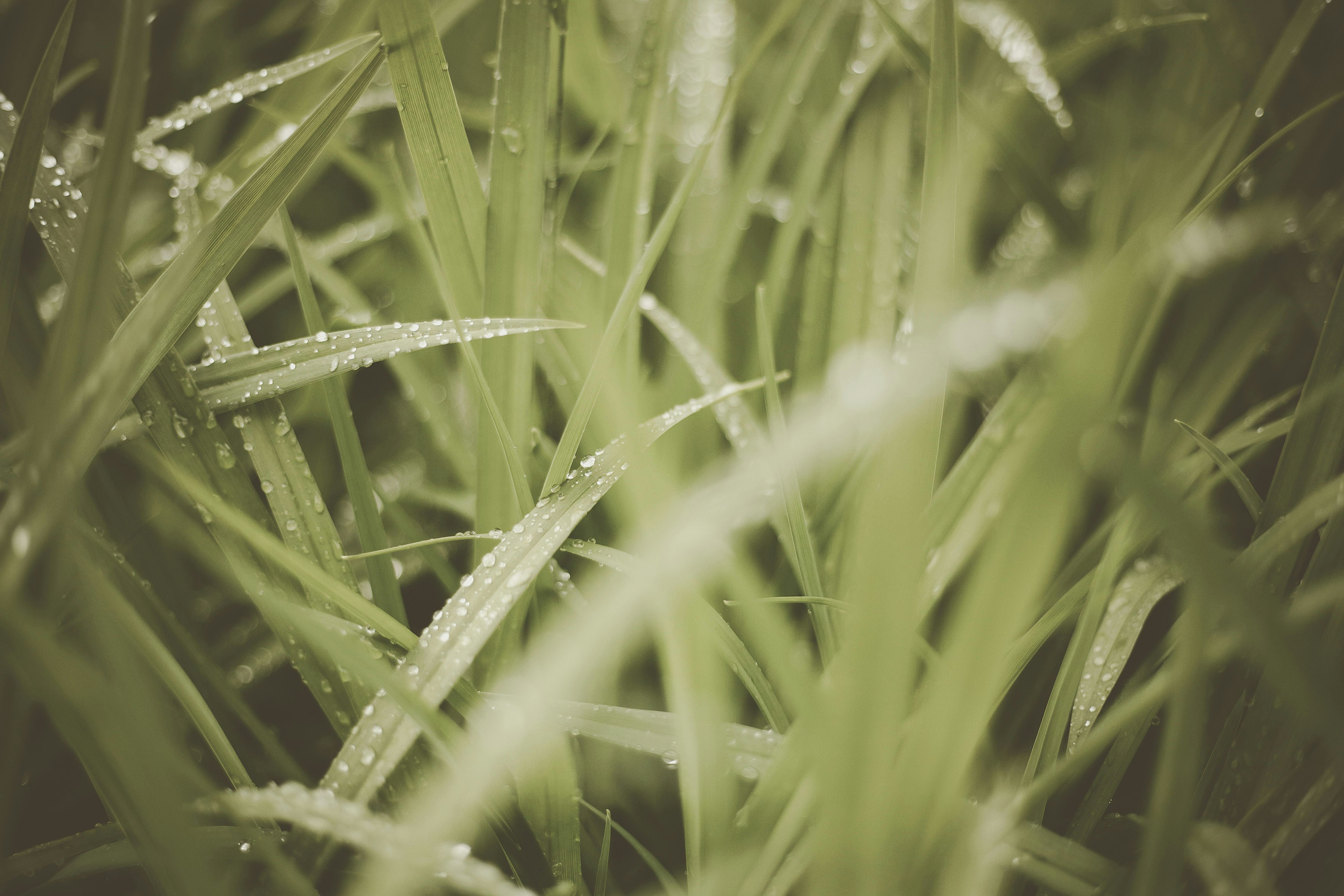 Photo by quadratmedia