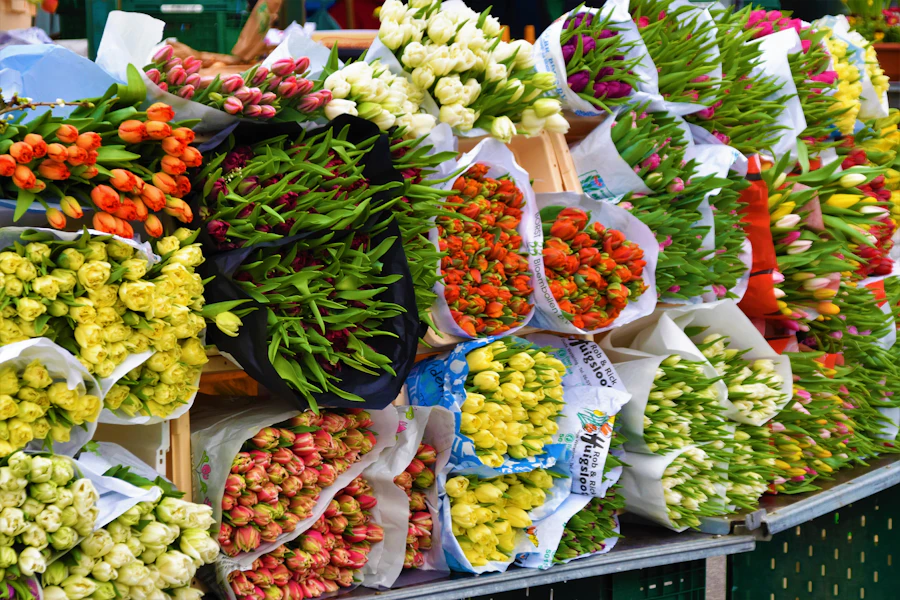 Buckets of fresh cut flowers and bouquets for sale