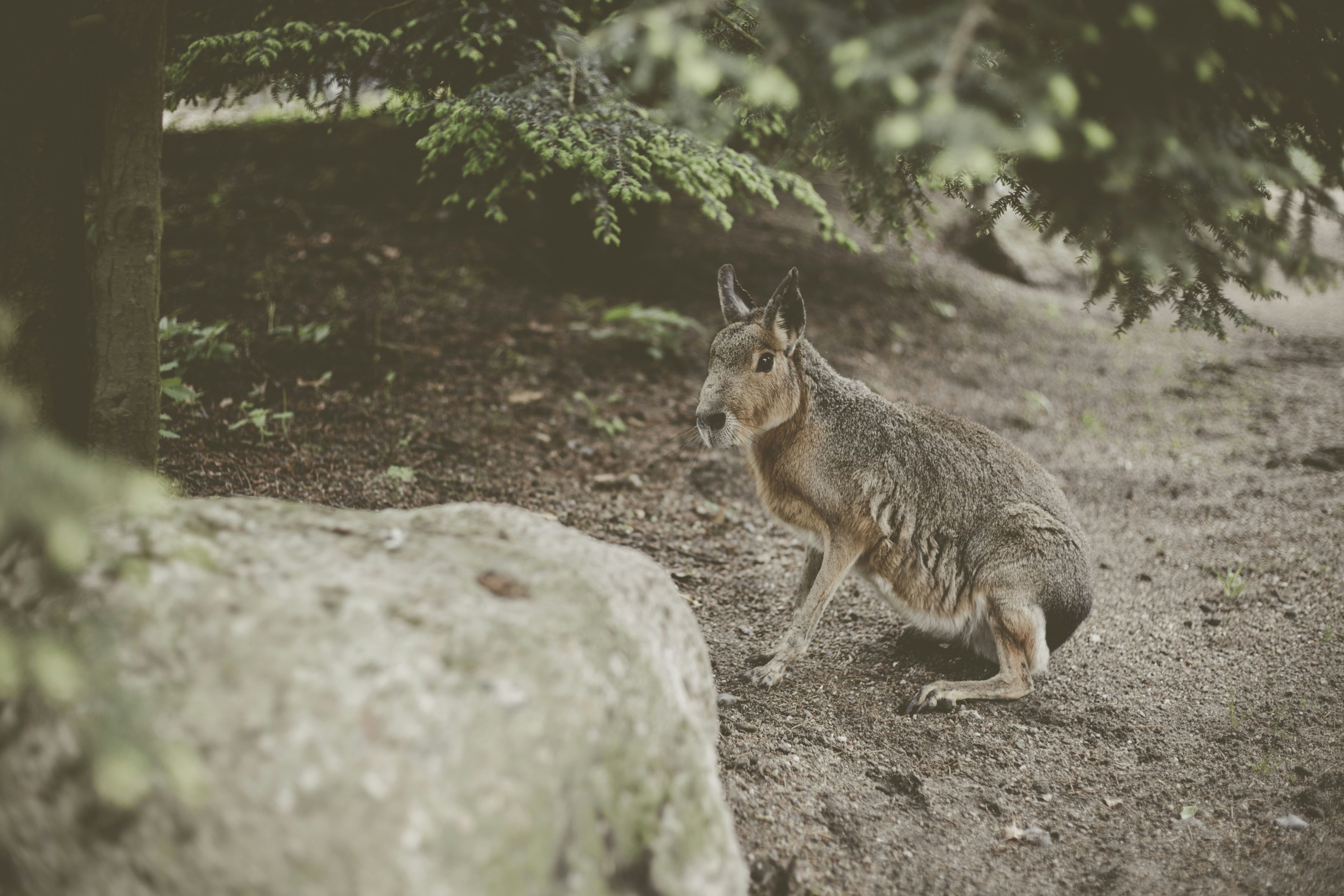 Photo by quadratmedia