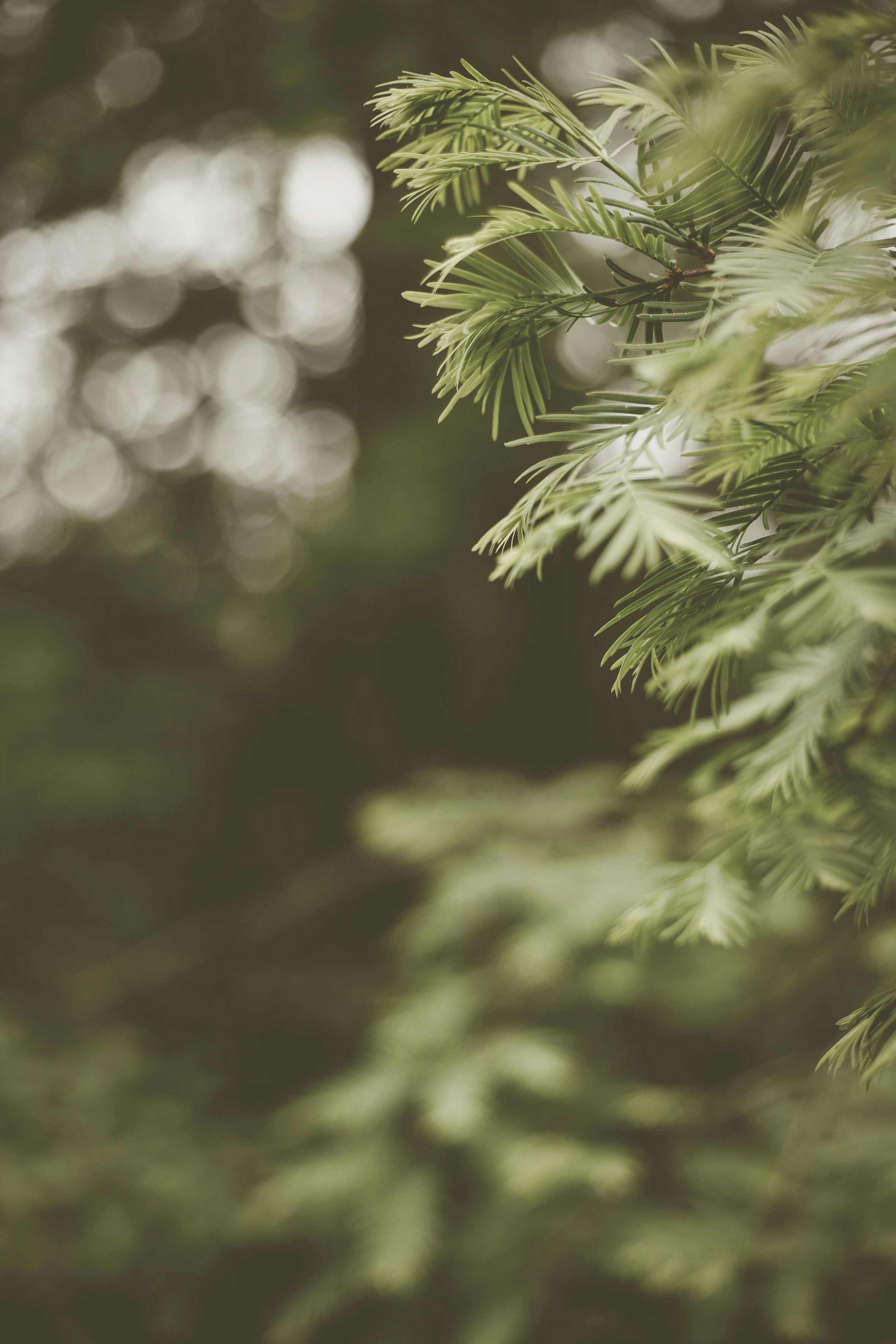 Photo by quadratmedia