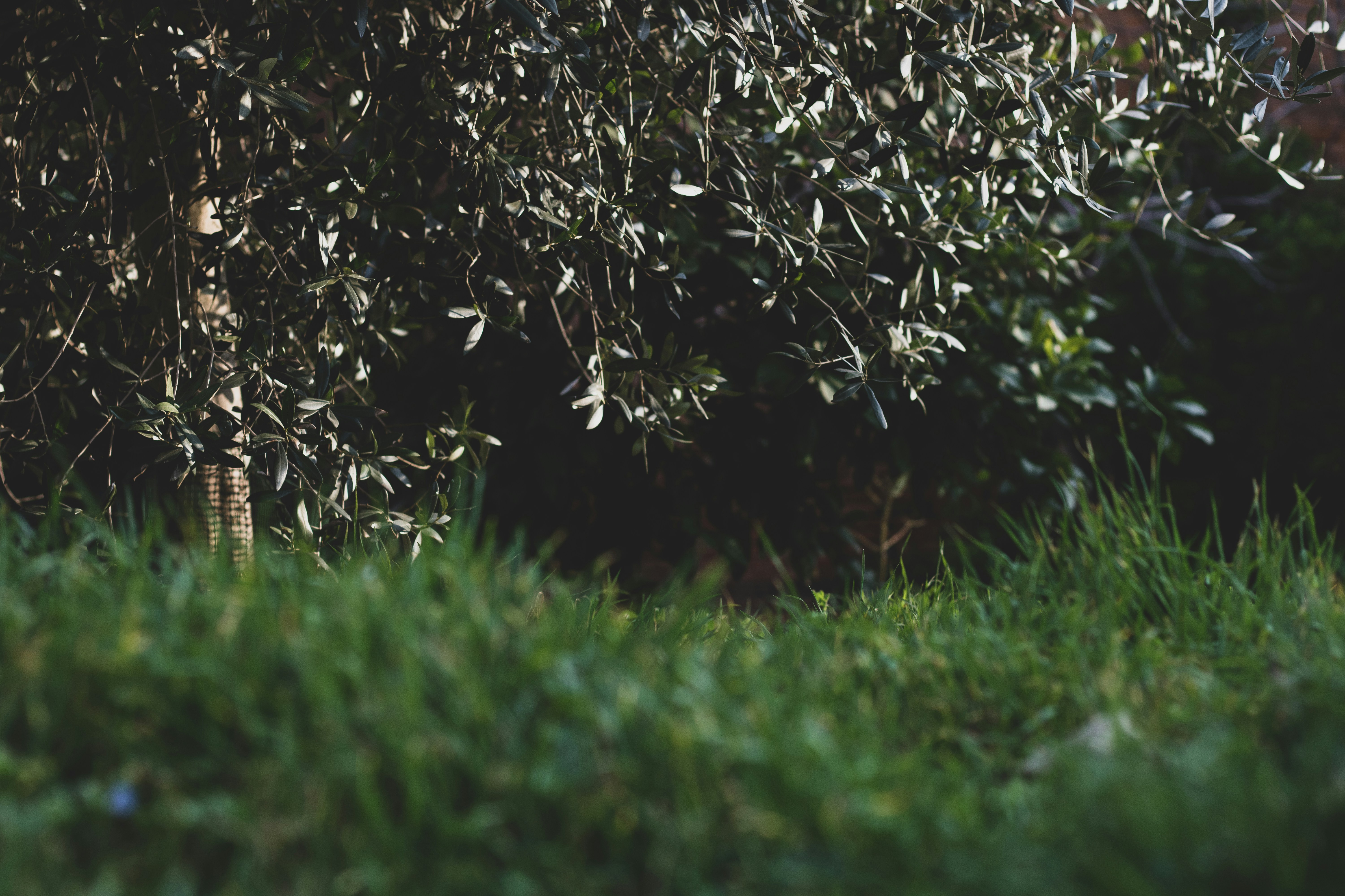 Photo by ludovicolovi