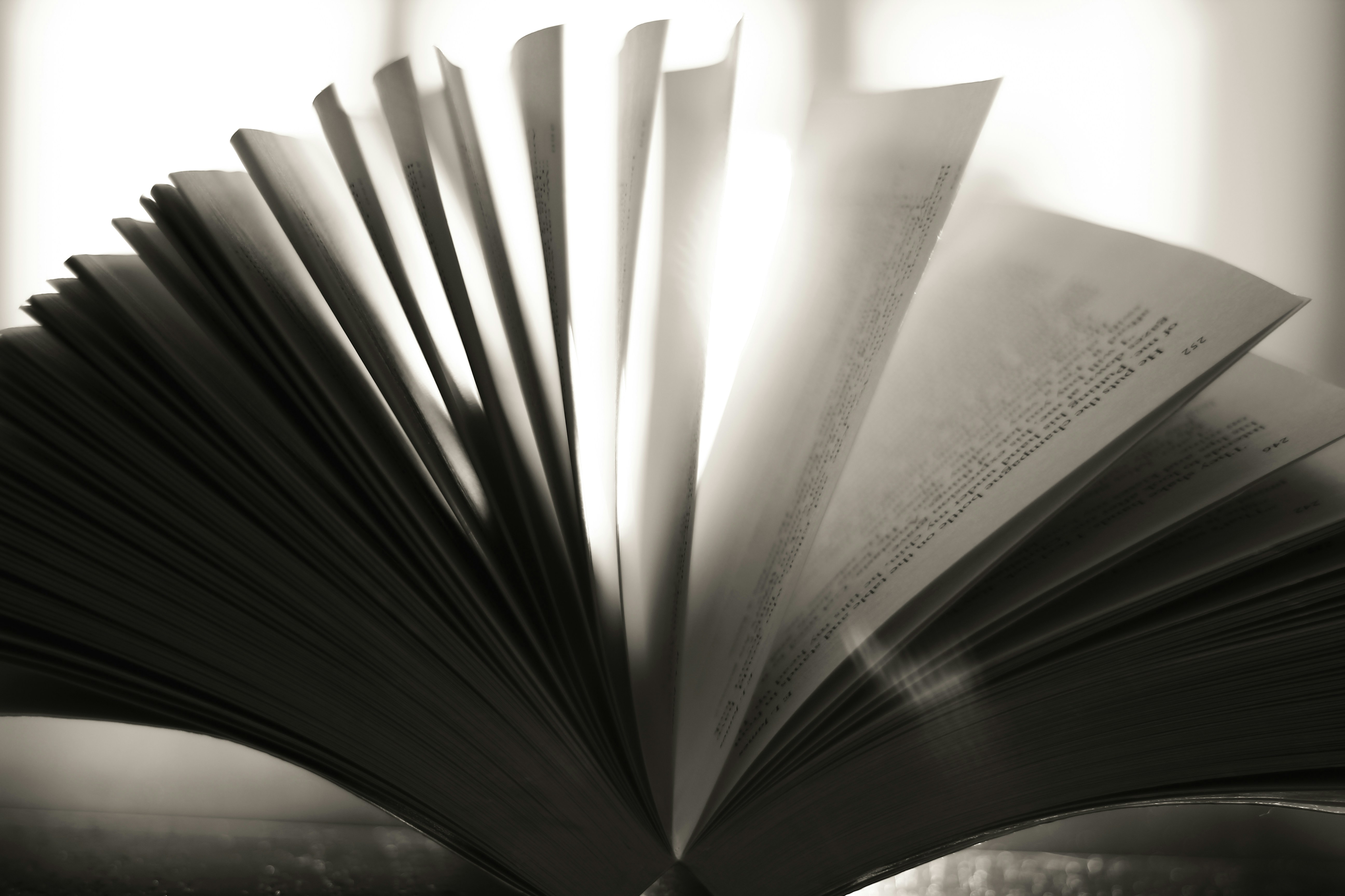 photo 1552835009 da701aa696db?ixlib=rb 4.0