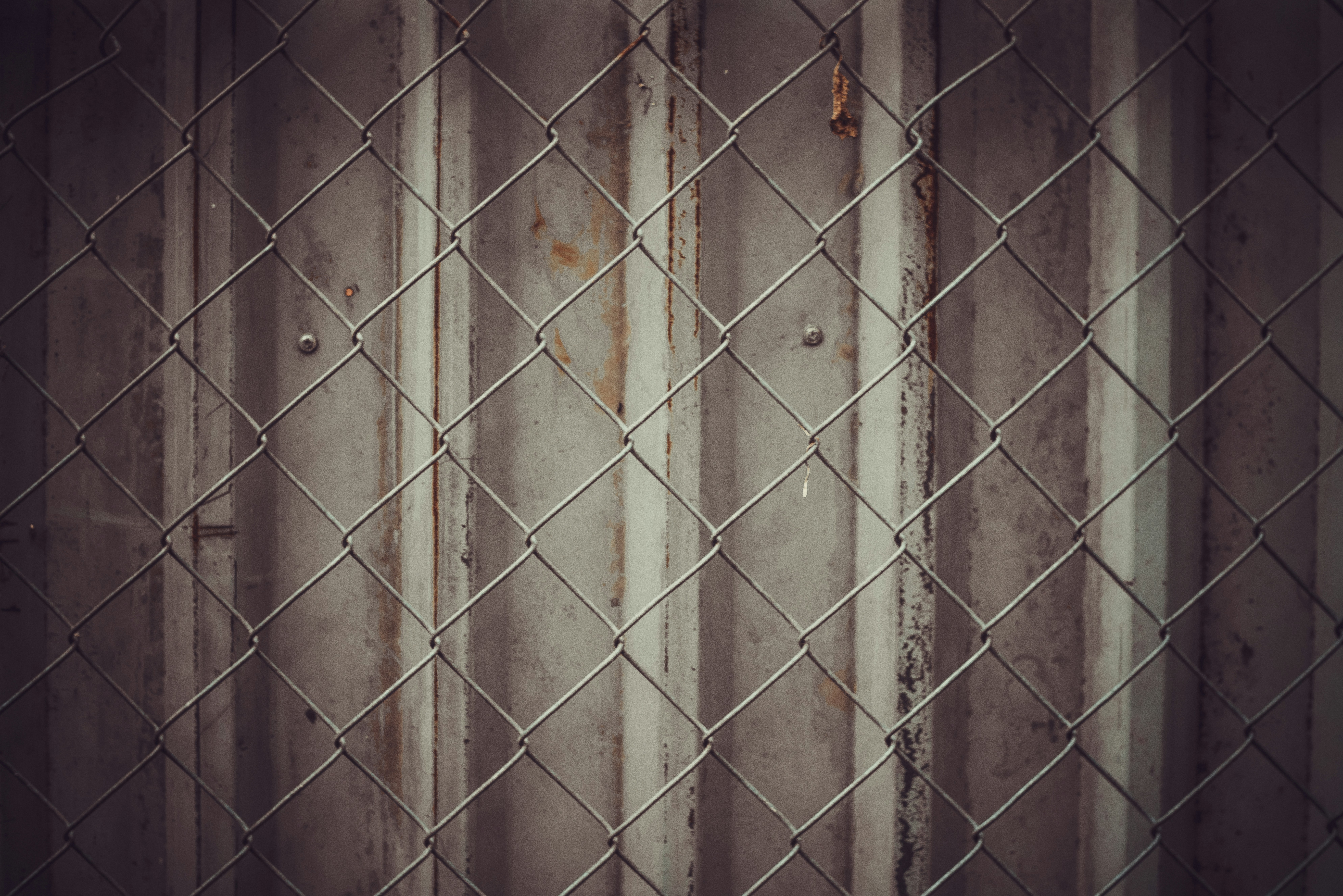 Photo by tuannguyenminh