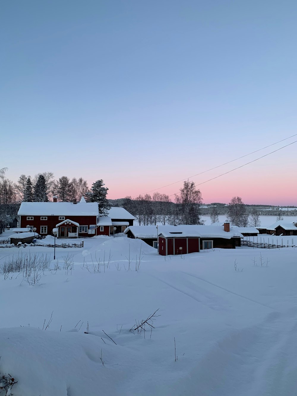 snow-covered houses beside trees