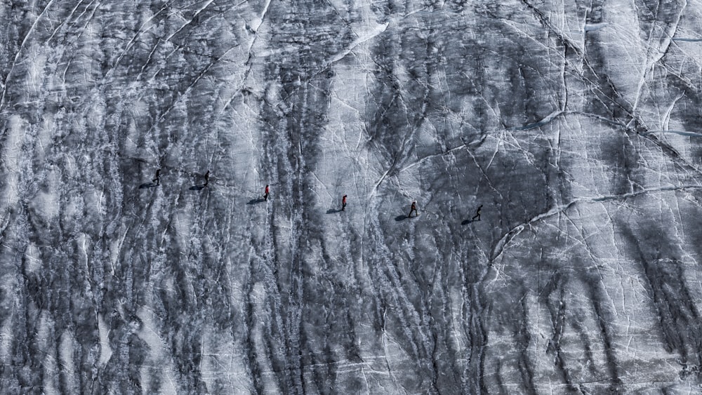 flight of bird near gray rock formation