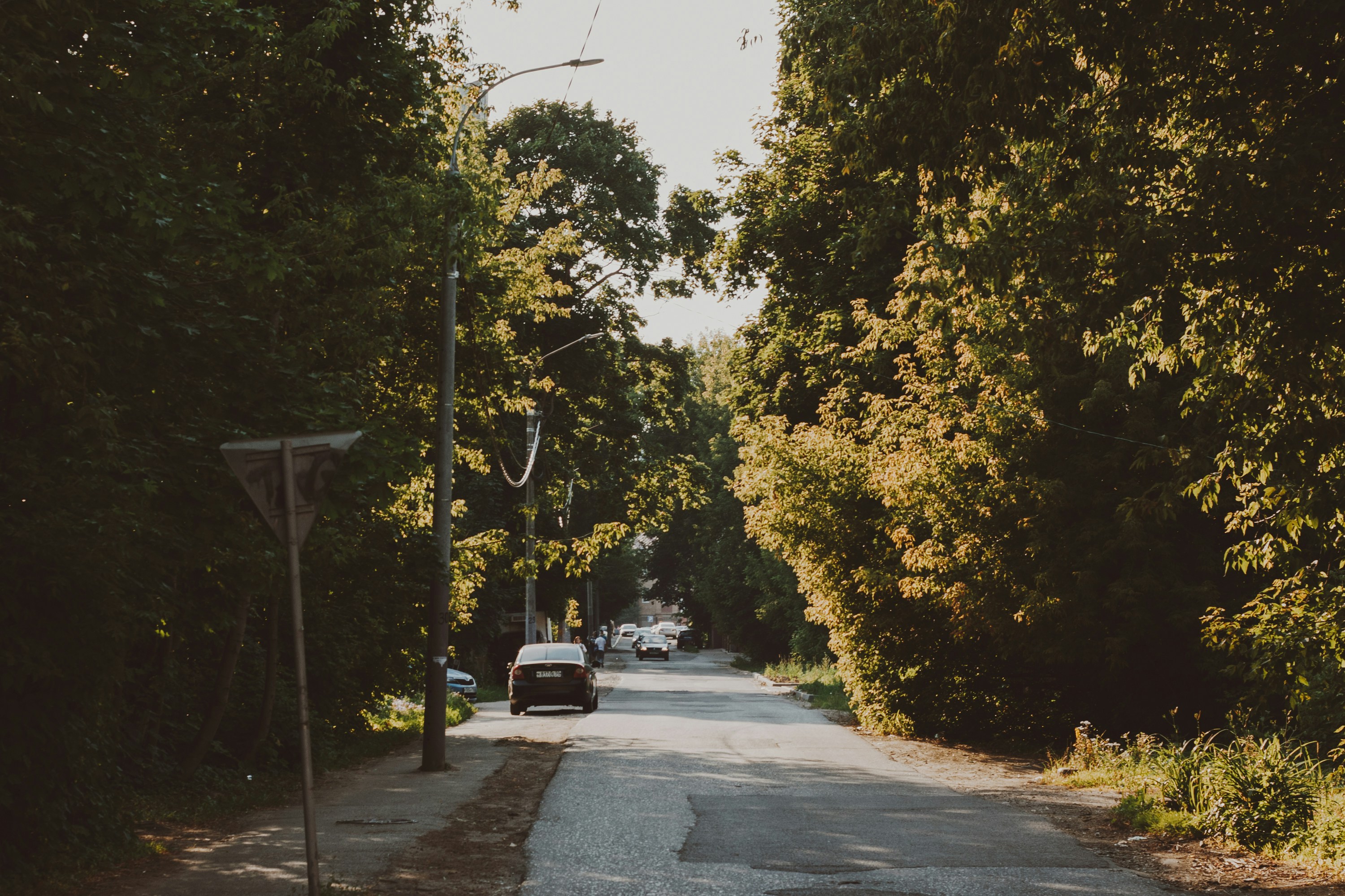 concrete road between trees
