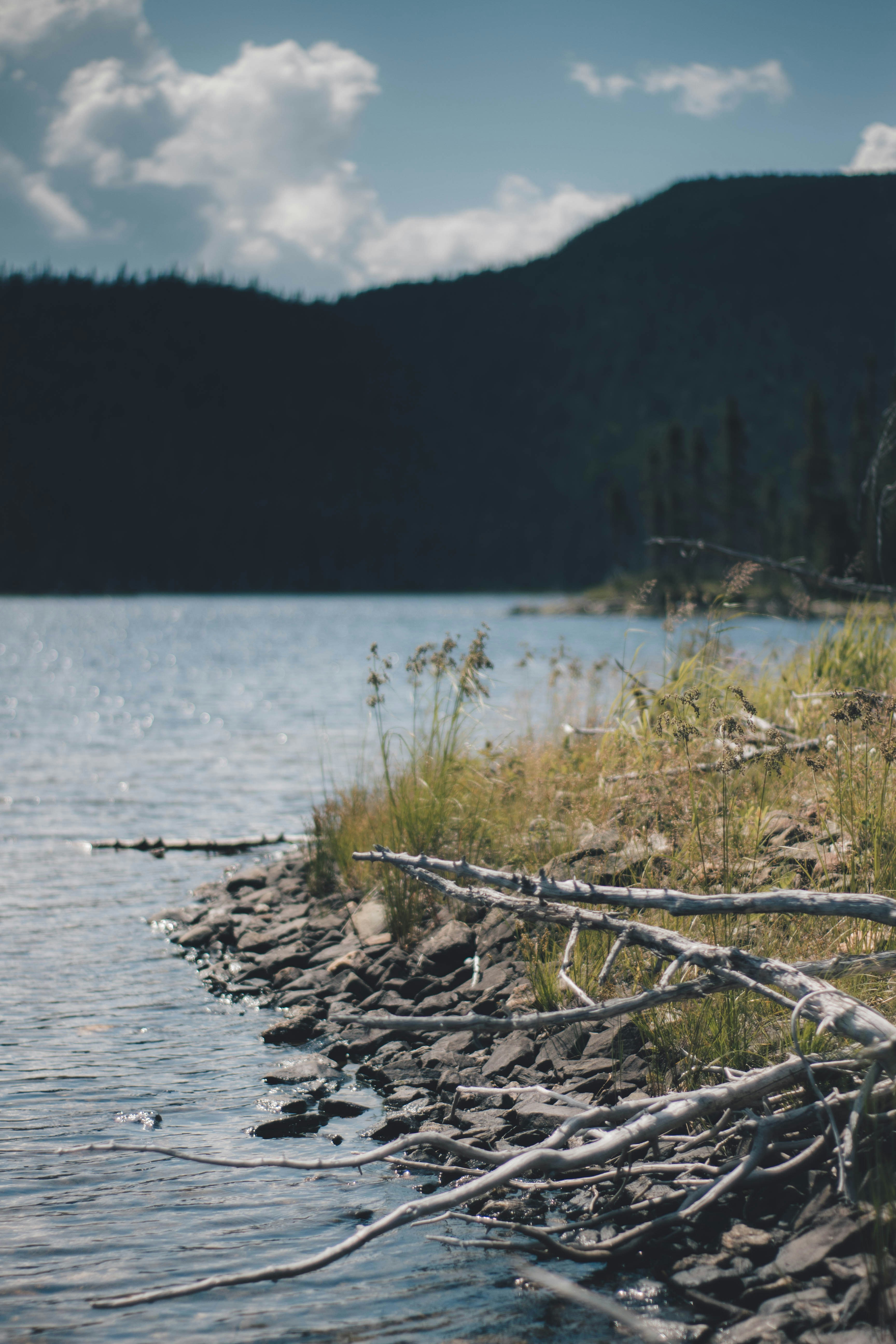 Photo by thomaslrdeau