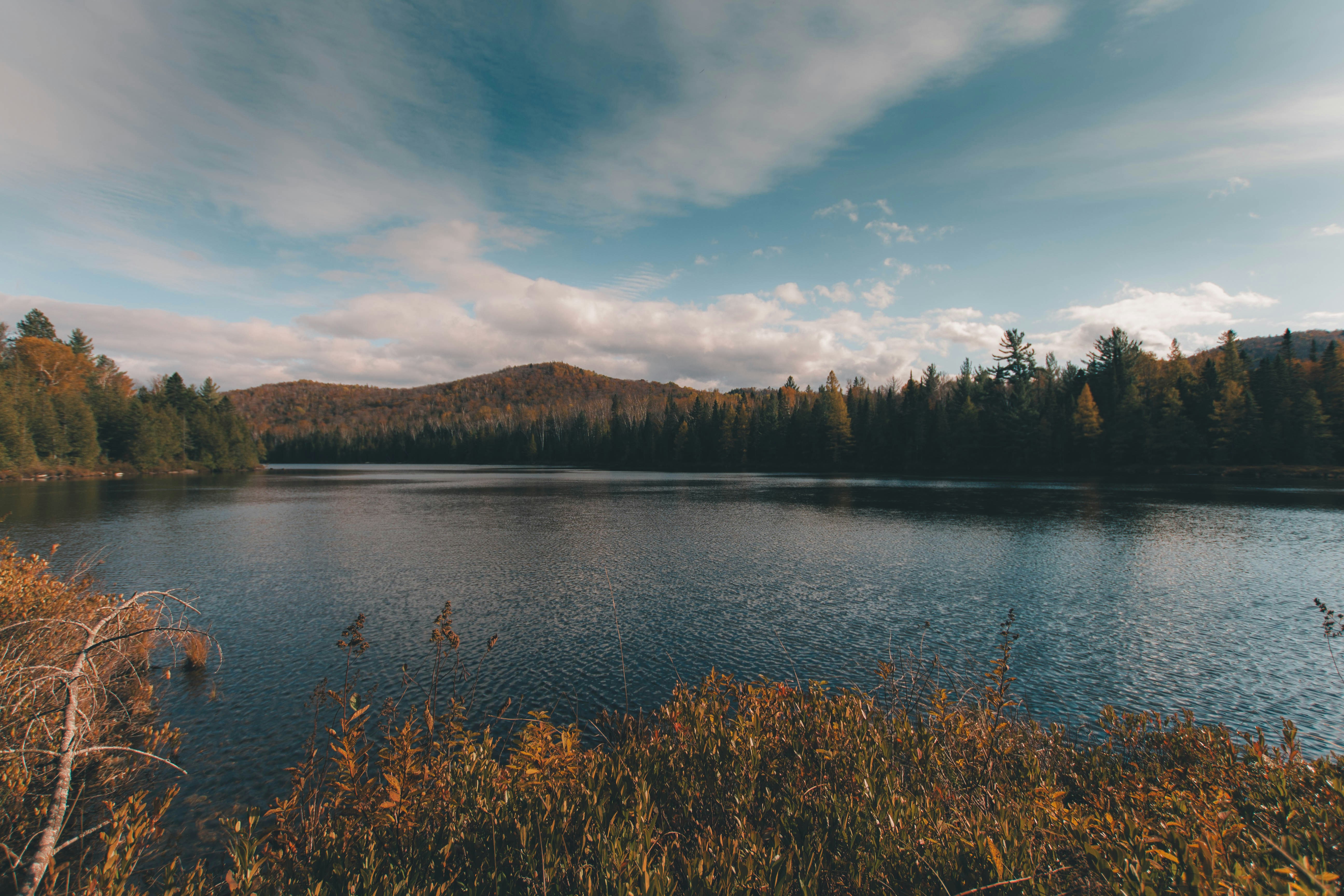 Photo by thomaslrdeau