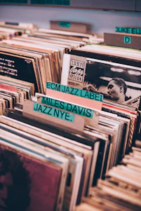 assorted-title of vinyl records