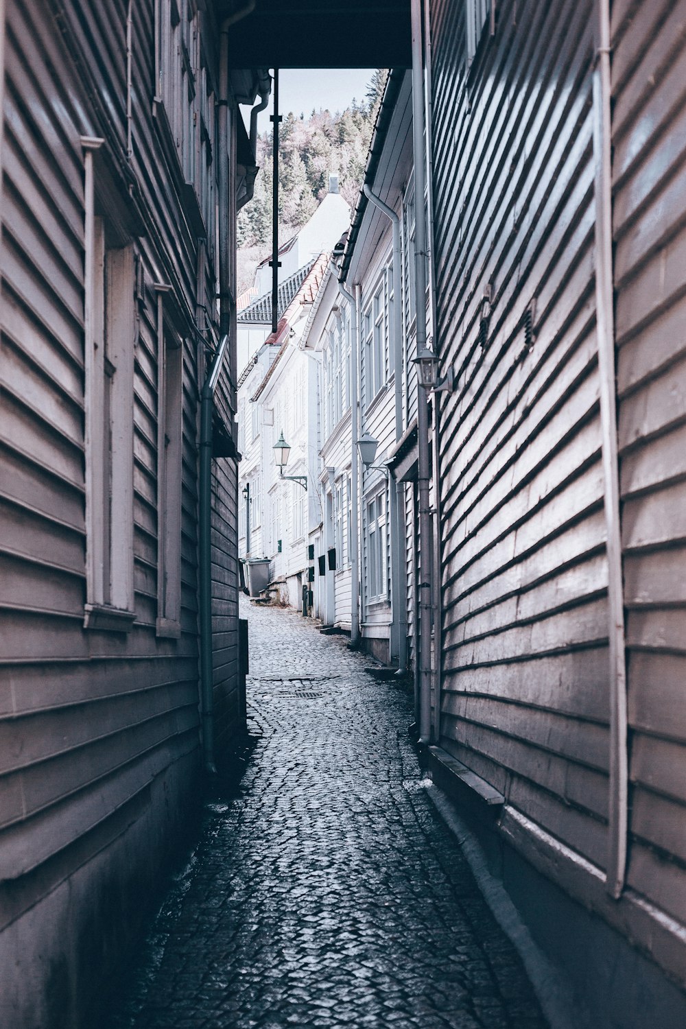 empty pathway in between of buildings