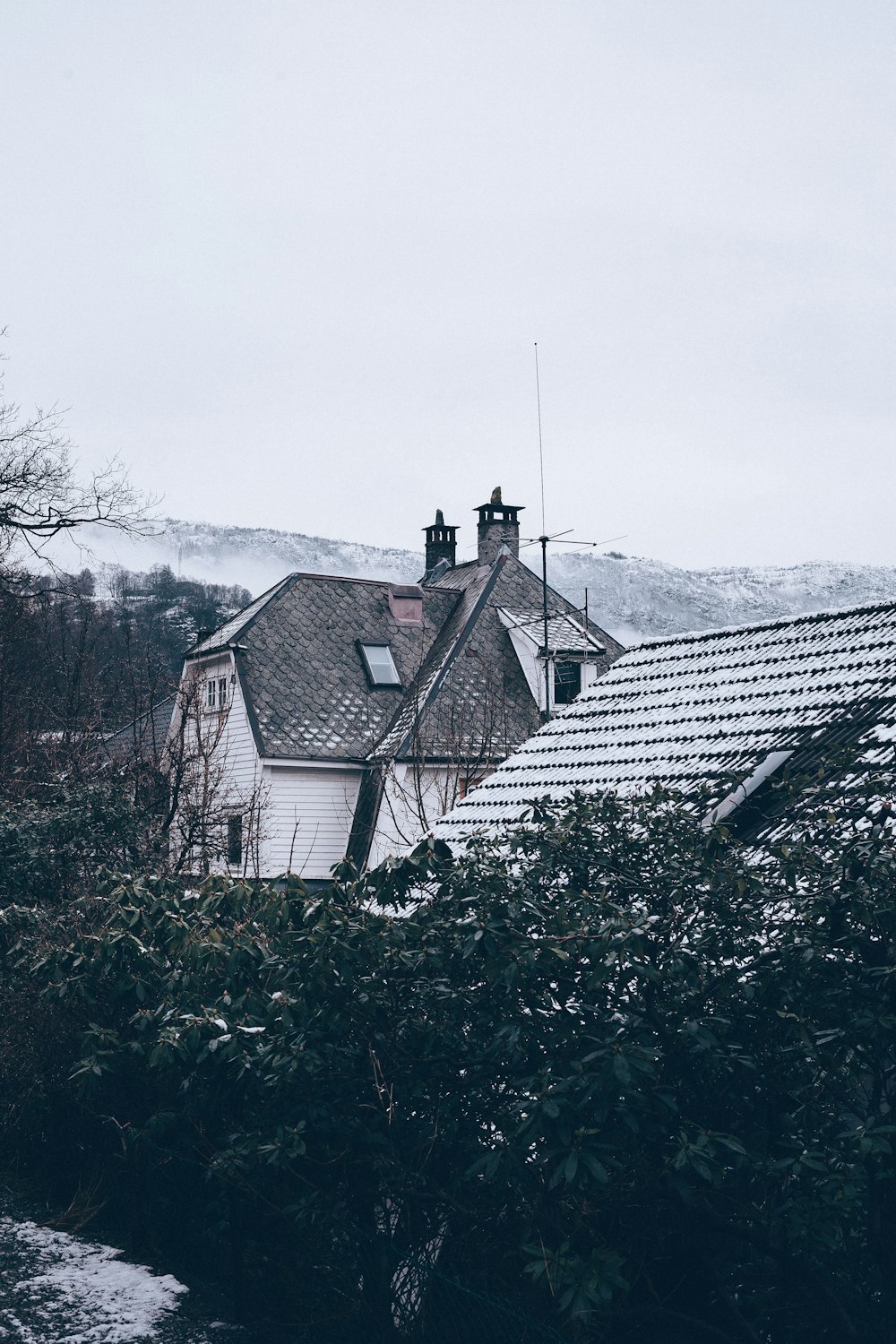 grayscale photo of roof