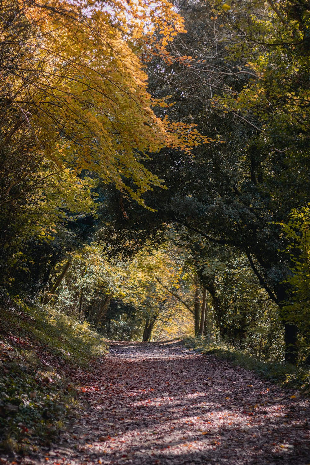 green trees