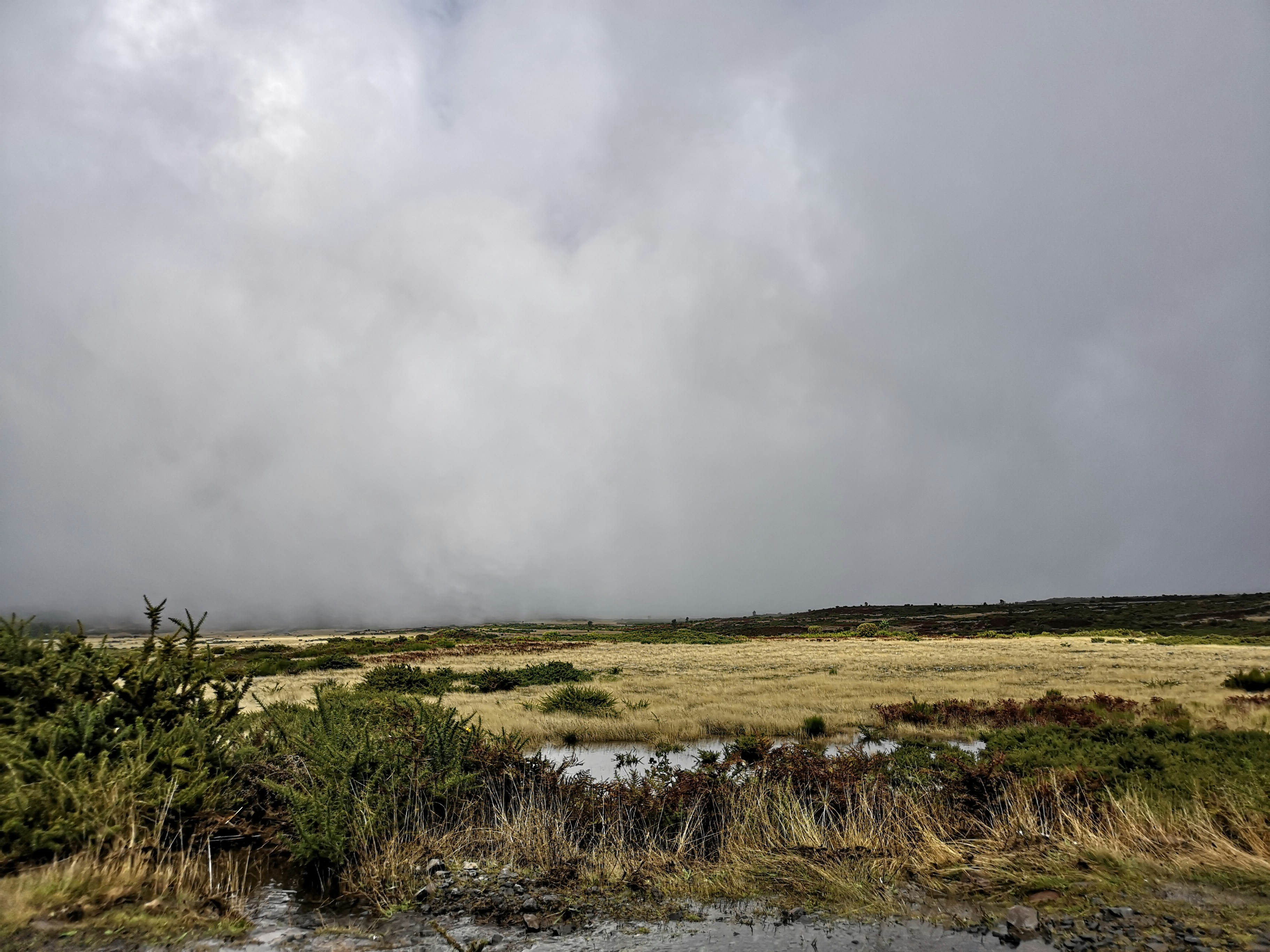 Photo by wolkensegler