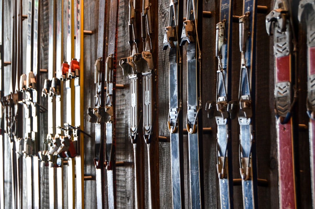 assorted-color pair of ski blades lot, This selection of vintage skis and bindings caught my eye. Vertically mounted on 