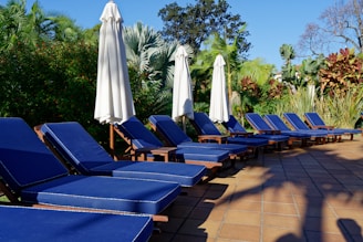 blue sun lounger lot