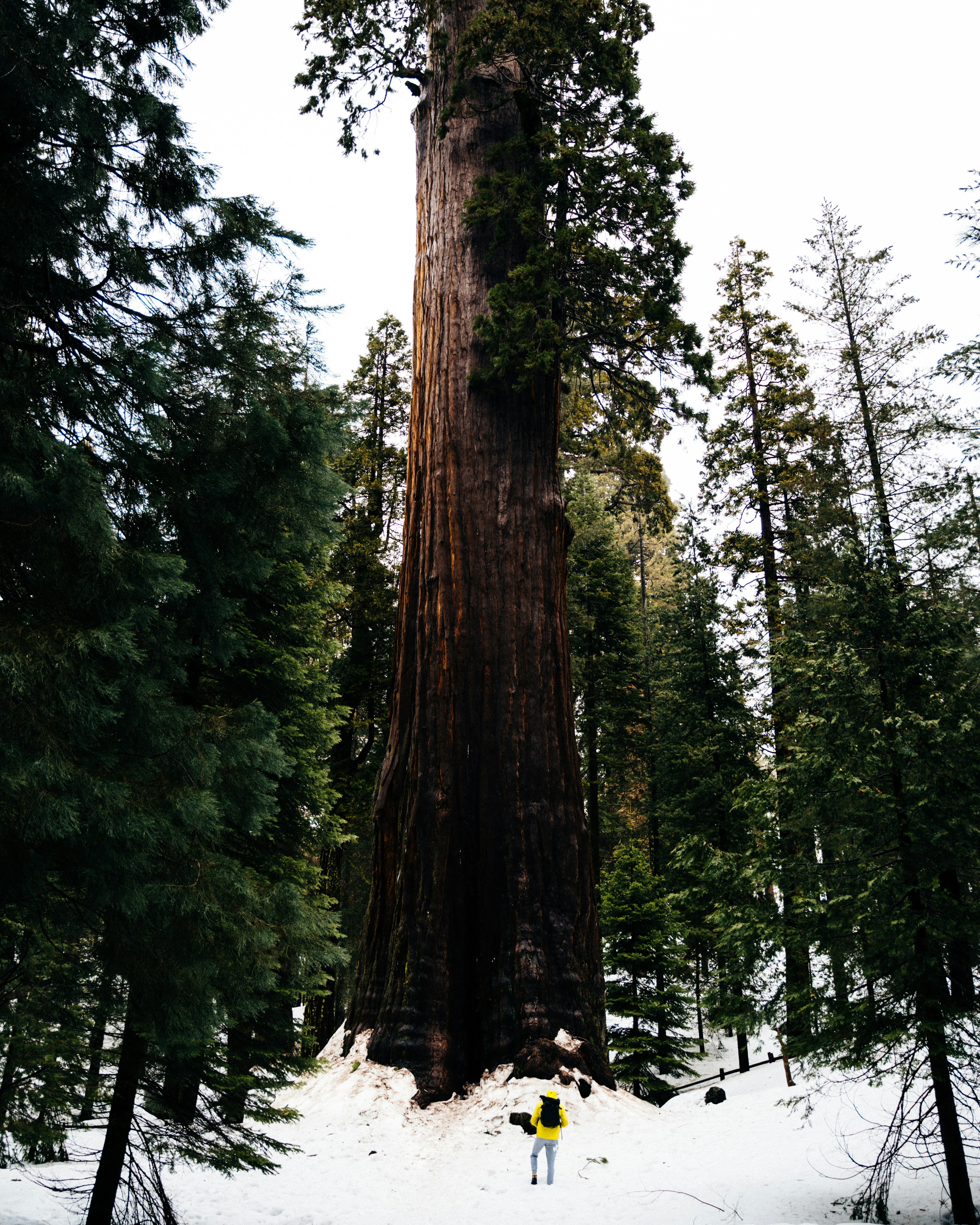 Photo by vwalletphoto