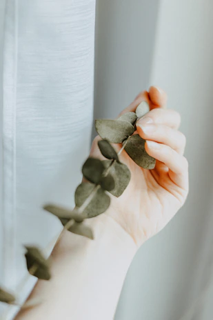 Close-up of hands gently arranging a Tree of Life illustration on a light gray background.
