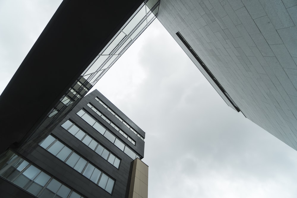 black concrete buildings