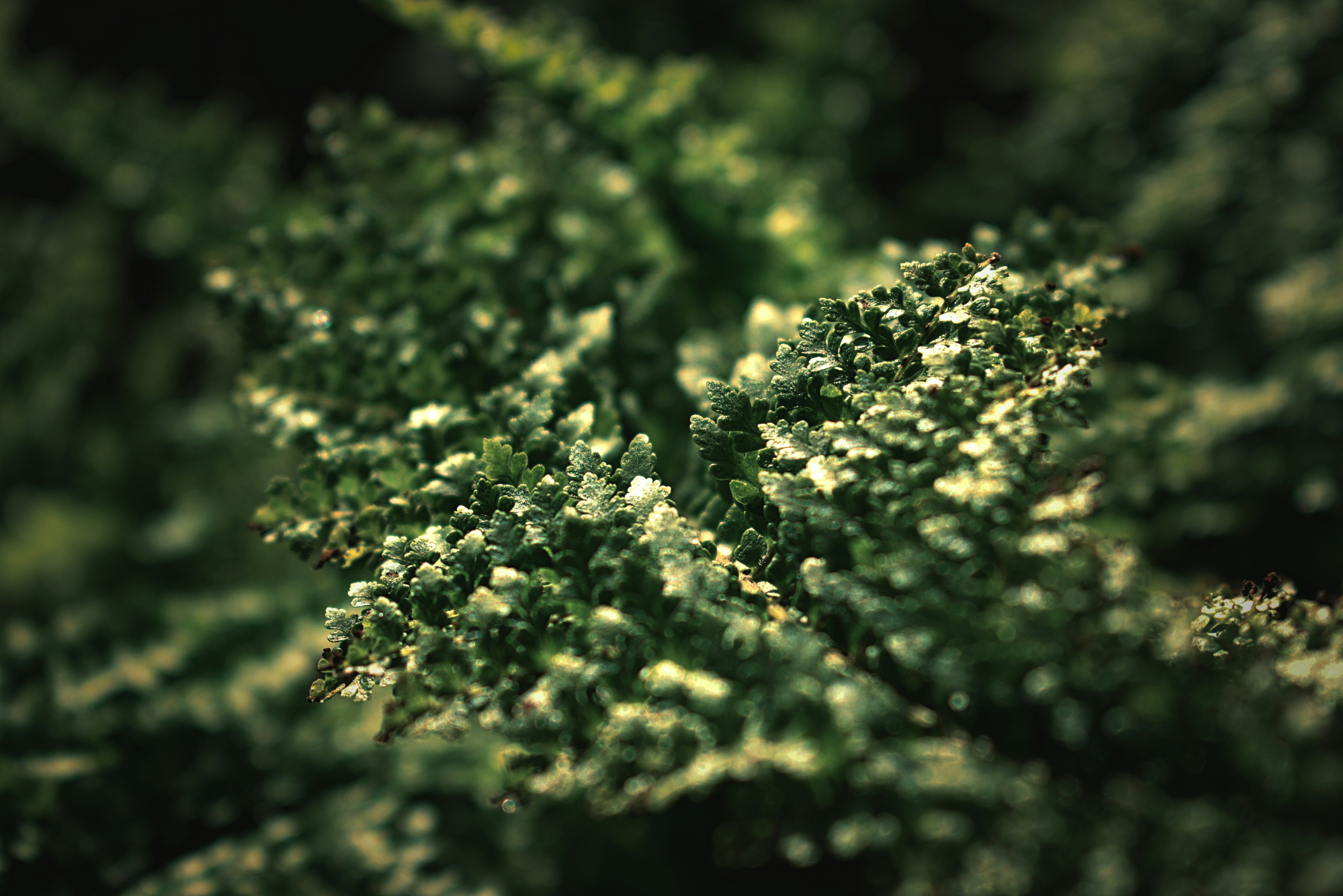 Photo by margagreta_96