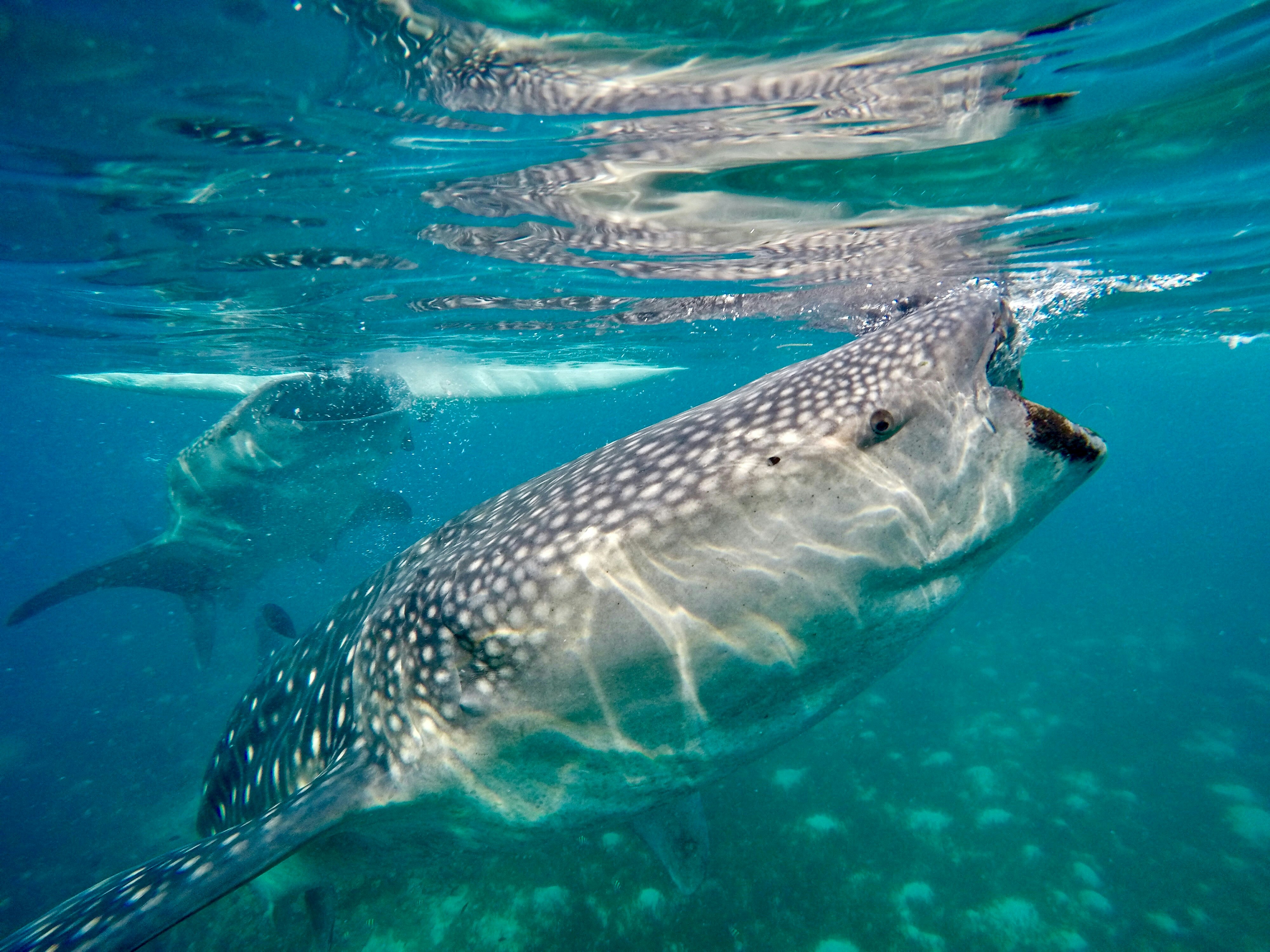 Photo by philippirsten