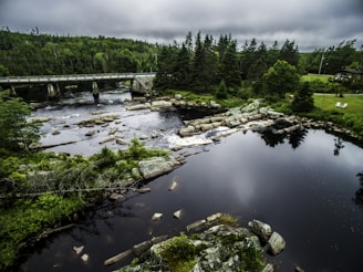 aerial photography of stones in river during daytime