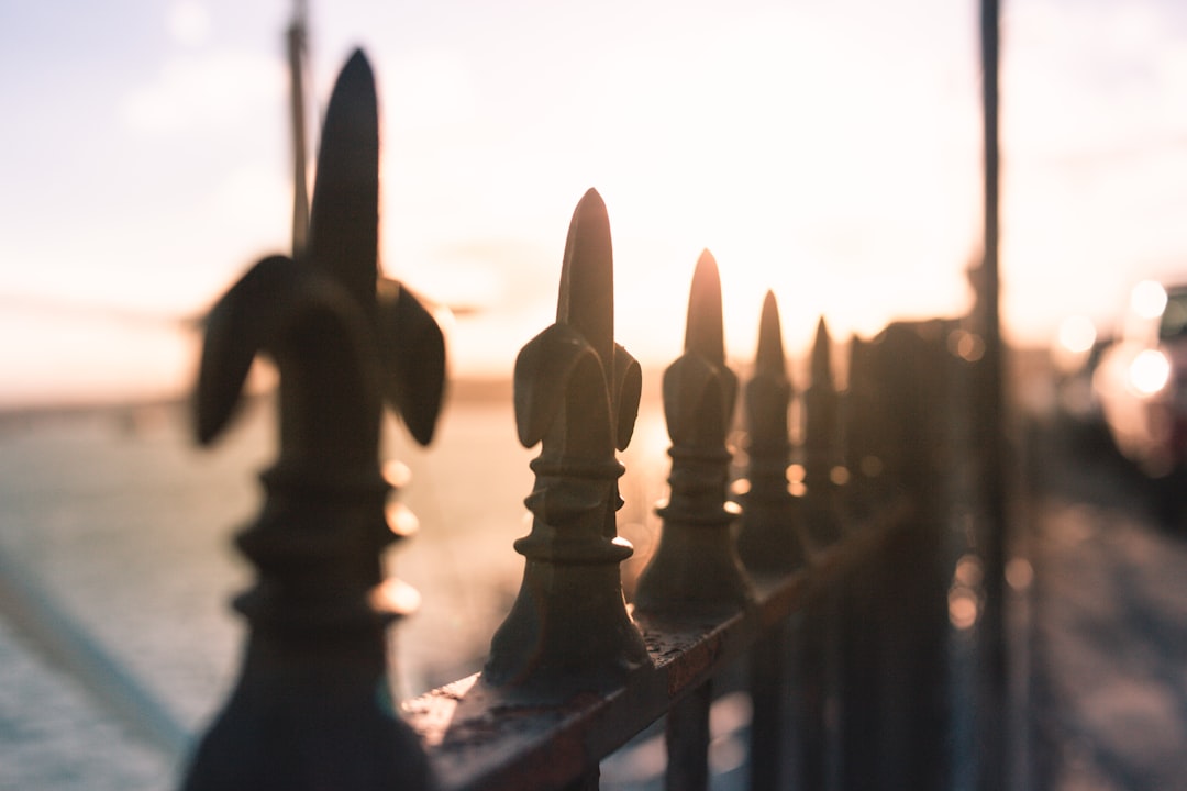 selective focus photography of black metal gate