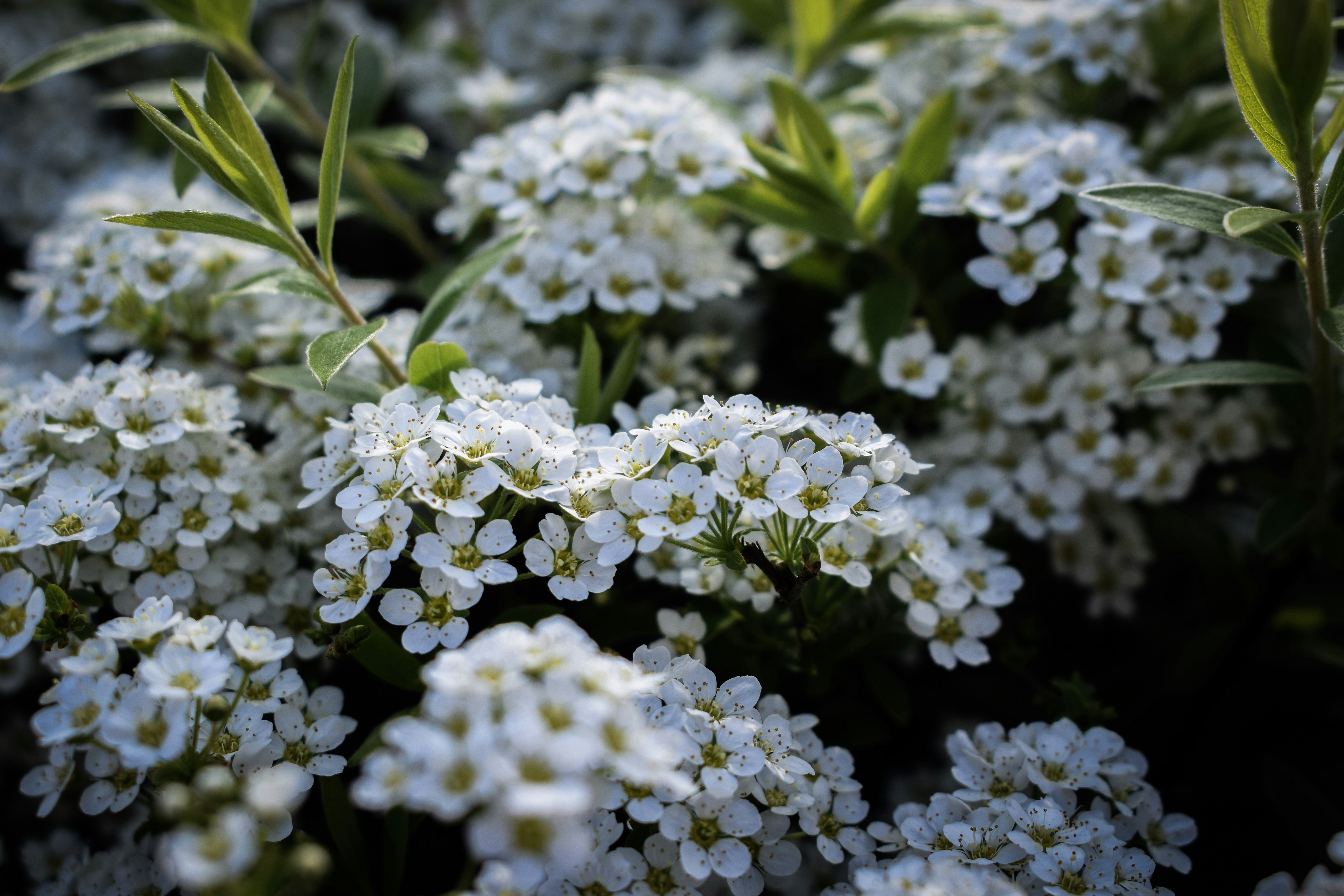 Photo by taylor_cowling_photos