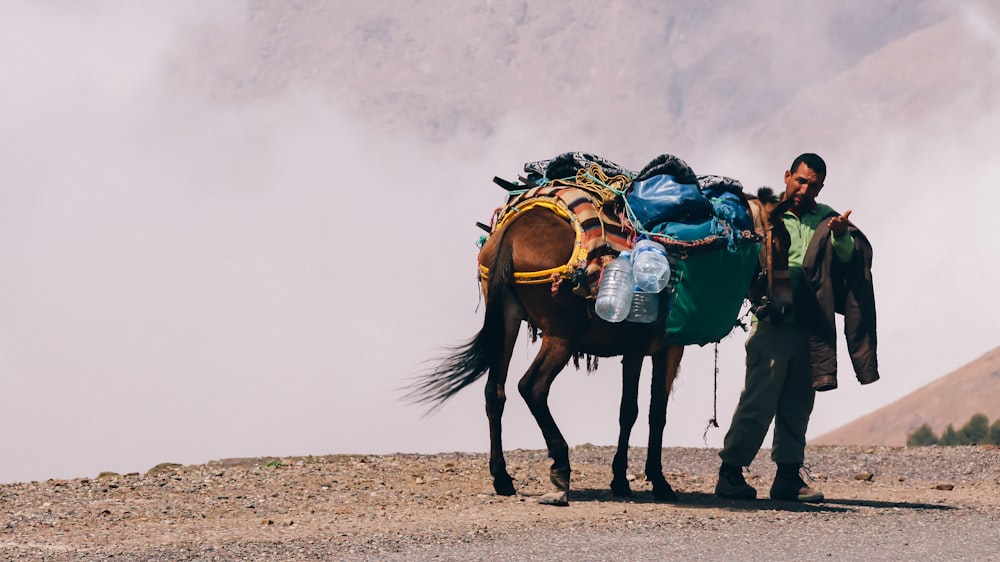 man standing beside brown horse