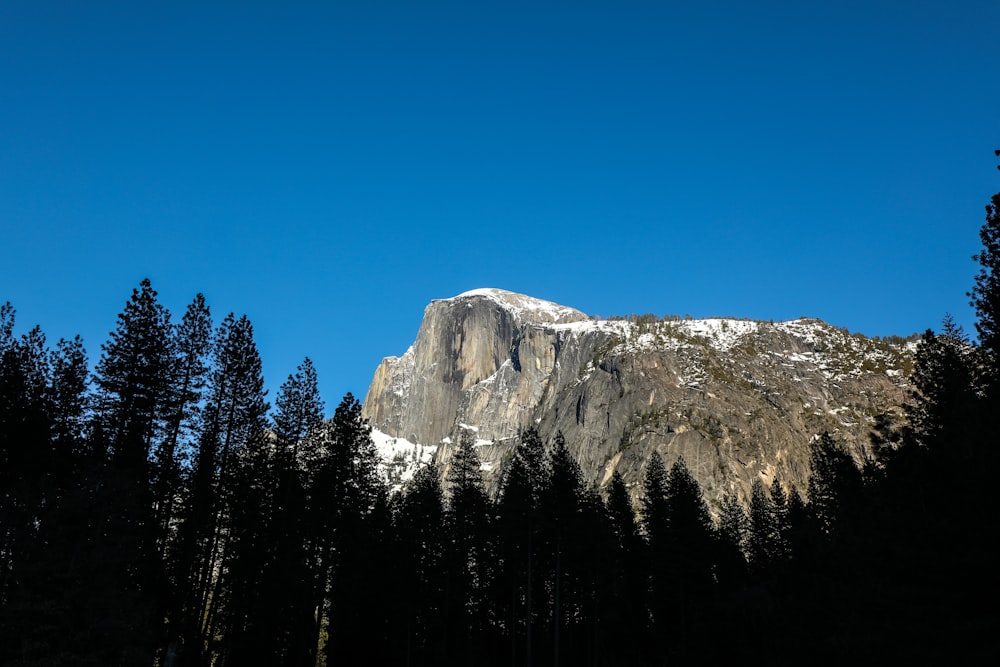 grey mountain and trees under blue sky