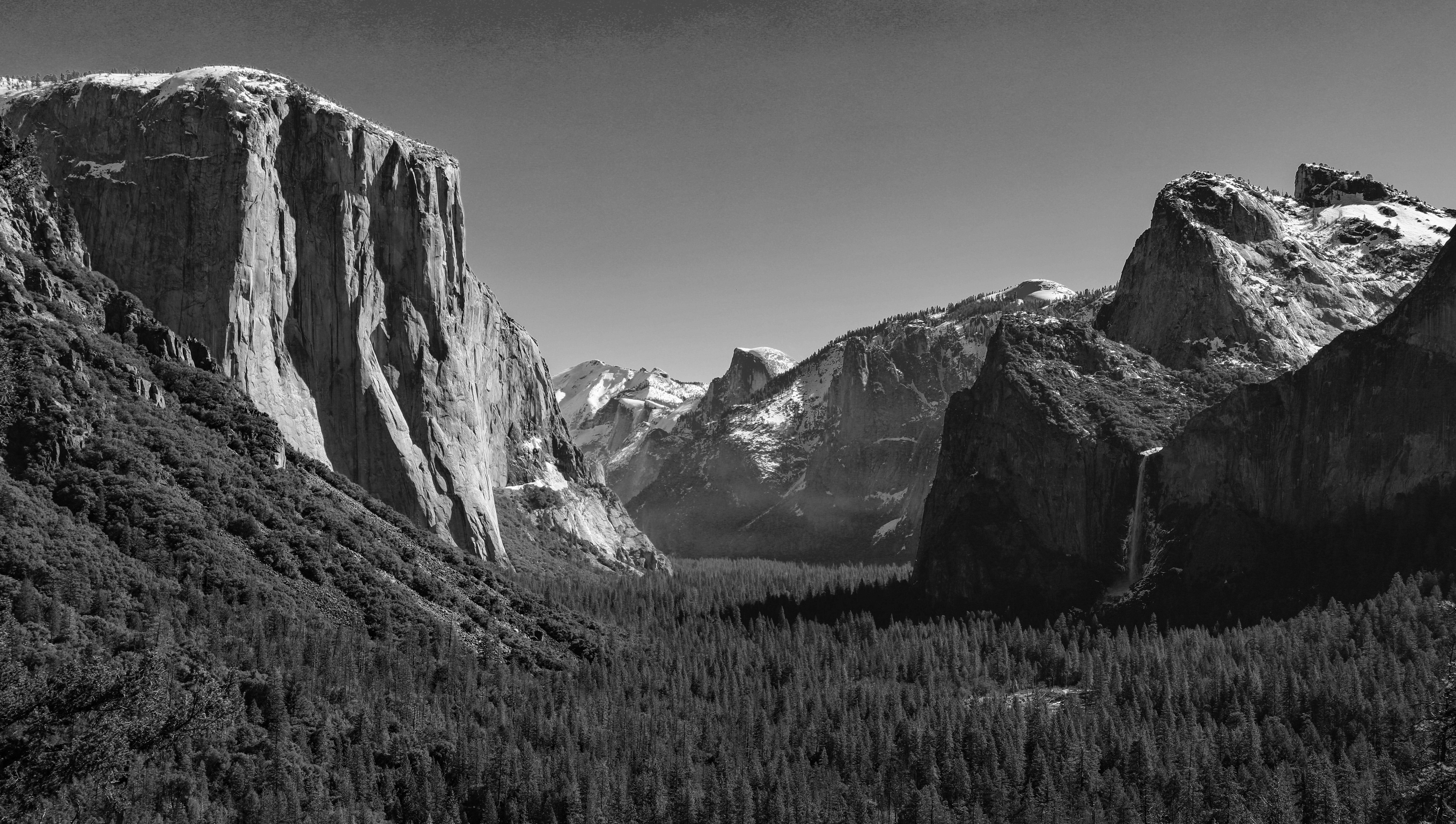 grayscale photography of rock formation and forest
