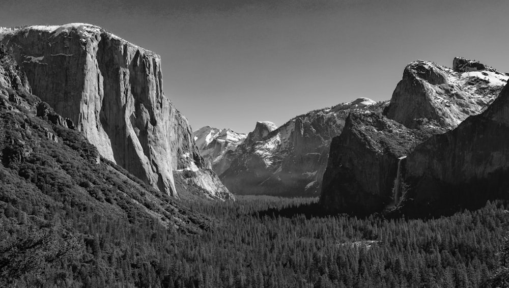 grayscale photography of rock formation and forest