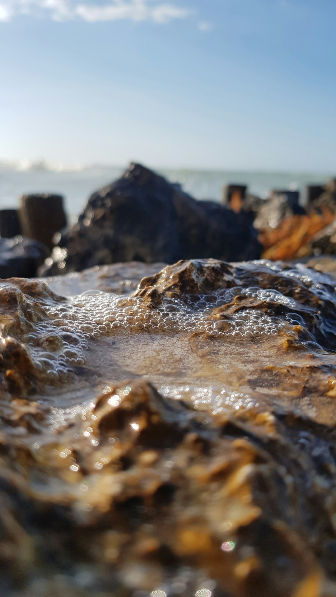 travelers stories about Shore in 15 Playa 798, Mexico