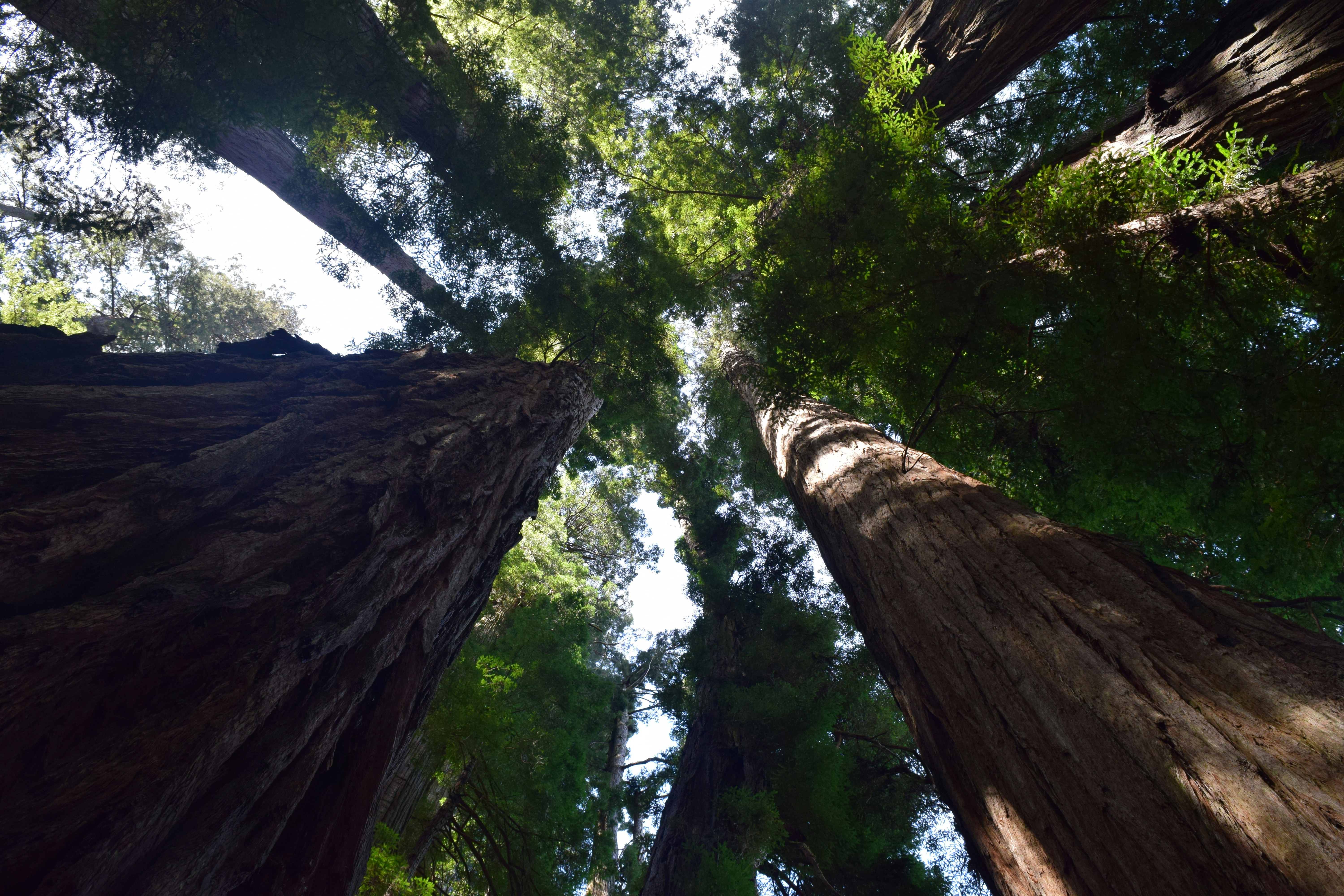 Photo by ckingrex123